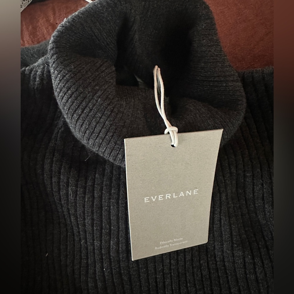 Everlane Charcoal Ribbed Turtleneck Sweater Dress